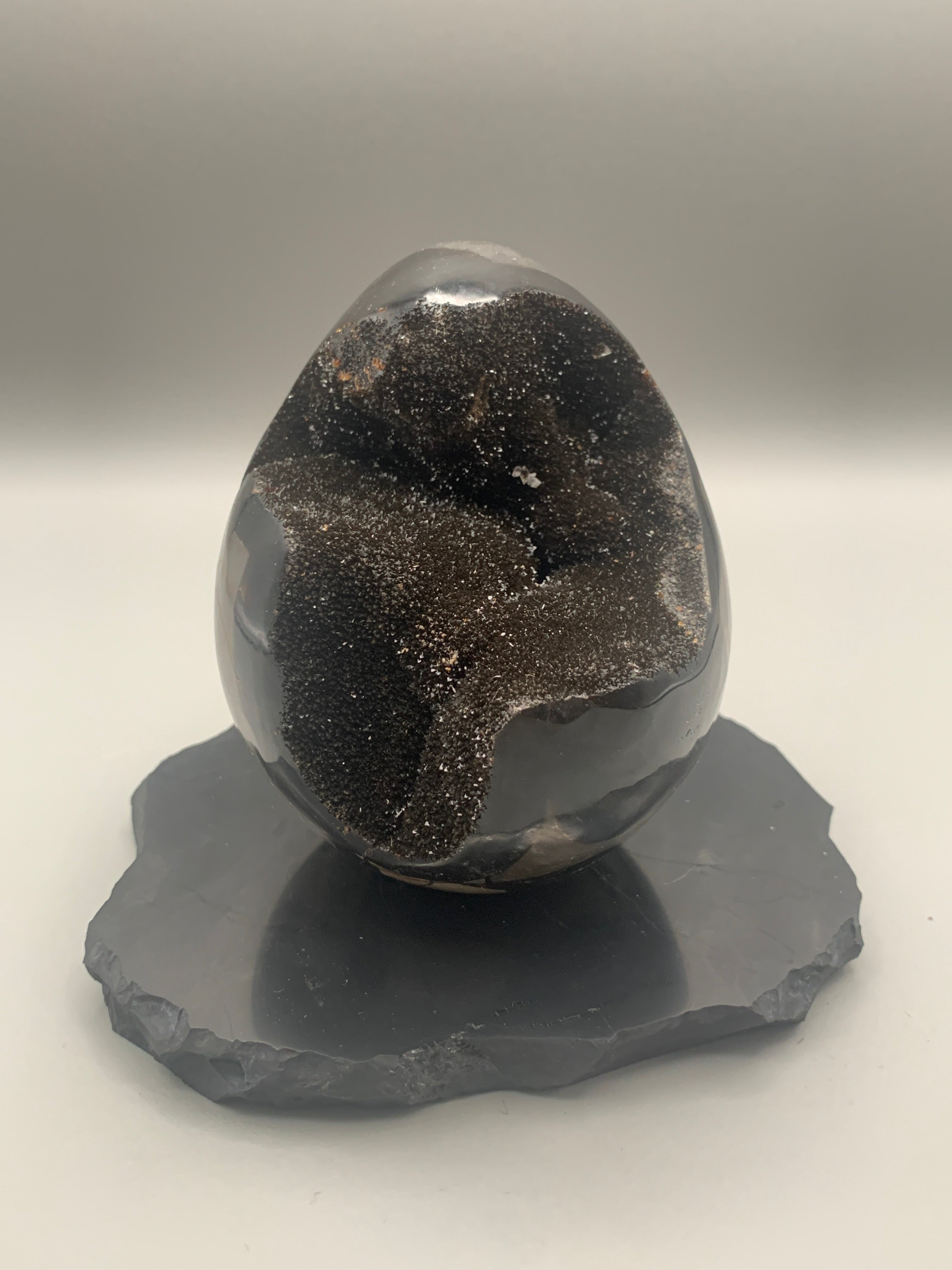 Septarie - Ei