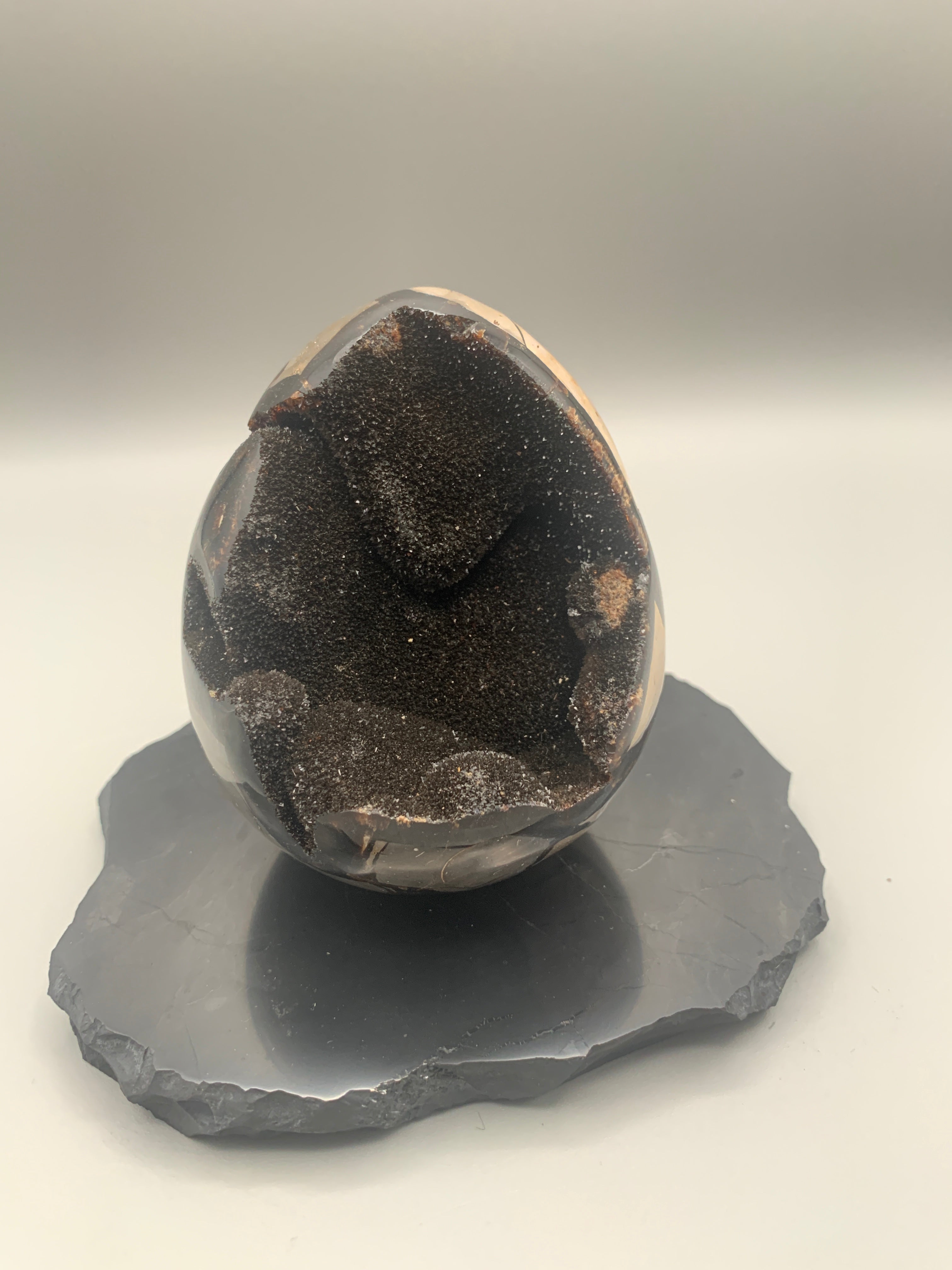 Septarie - Ei