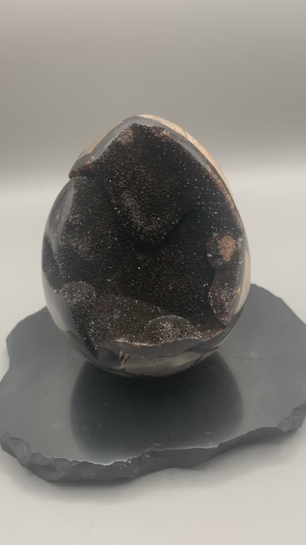 Septarie - Ei