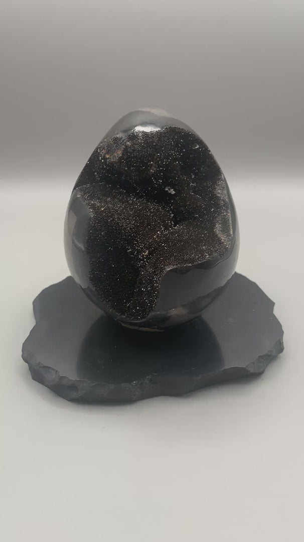 Septarie - Ei